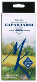 Набор профессиональных цветных карандашей "Мастер-Класс", 12 цветов, в картонной коробке