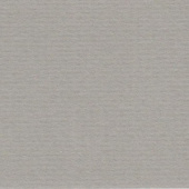 Бумага для пастели LANA 70х100см 160г. Холодный серый