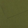 Бумага для пастели CANSON "Mi-Teintes" 50x65 см, 160 г, №448 Зеленый плющ 