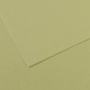 Бумага для пастели CANSON "Mi-Teintes" 21x29,7 см, 160 г, №480 Зеленый светлый 