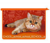 Папка для труда 2 отделения А4 на молнии, рисунок на ламинате "School cat" ПТ-Р117