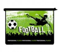 Папка для труда 2 отделения А4 на молнии, рисунок на ламинате "Форвард" ПТ-Р119