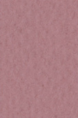 Бумага для пастели Tiziano А4 160г. Серо-фиолетовый