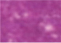 Карандаш пастельный "Pastel Pencils"/для проф./Лаванда "Derwent" Карандаш пастельный "Pastel Pencils"/для проф./Лаванда "Derwent"