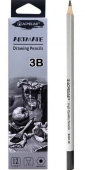 Карандаш чернографитный 3B ACMELIAE шестигранный, корпус серебряный Карандаш чернографитный 3B ACMELIAE шестигранный, корпус серебряный