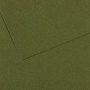 Бумага для пастели CANSON "Mi-Teintes" 21x29,7 см, 160 г, №448 Зеленый плющ 