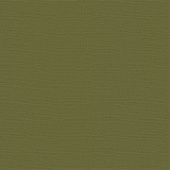 Бумага для пастели "Палаццо" тисн."Холст" 35х50см "Dark jungle" ( тёмные джунгли ) хл.40% 160г 