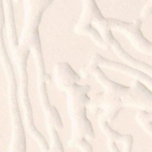Карт. для пасп. (80 х 120 х 0,14 см.) /Рельеф АКВА/Слоновая кость