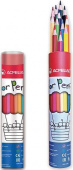 Набор цветных карандашей 12 цветов, шестигранные,D-грифеля 3мм,металлический футляр-тубус "ACMELIAE"