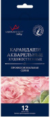 Набор акварельных карандашей заточенный 12 цв. "VISTA-ARTISTA" "Gallery" VGWP-12