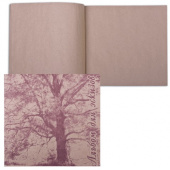 Альбом для эскизов "Дерево" 210х210 40л, 70г/м