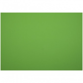 Картон плакатный 48*68см 400г/м (1лист)(уп.10л) зеленый WEROLA