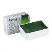 Акварель Pinax в кювете 2,5 мл W249 Зеленая хукера