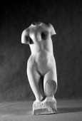 Гипсовая фигура торс Афродиты (Венеры), 50см
