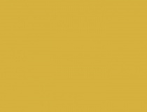 Бумага для пастели 29,7х42см Tiziano Золото, А3, 160 г/м2