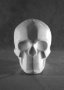 Гипсовая фигура череп обрубовка, h-20см