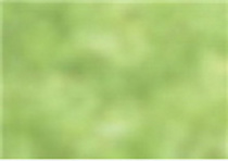 Карандаш пастельный "Pastel Pencils"/для проф./Майская зелень "Derwent" Карандаш пастельный "Pastel Pencils"/для проф./Майская зелень "Derwent"