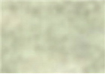 Карандаш пастельный "Pastel Pencils"/для проф./Оливковый бледный "Derwent" Карандаш пастельный "Pastel Pencils"/для проф./Оливковый бледный "Derwent"