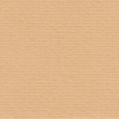 Бумага для пастели LANA 70х100см 160г. Песочный