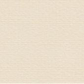 Бумага для пастели LANA 70х100см 160г. Слоновая кость