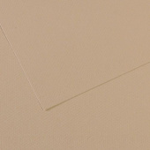 Бумага для пастели CANSON "Mi-Teintes" 50x65 см, 160 г, №343 Серо-бежевый 
