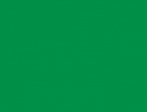 Бумага для пастели 29,7х42см Tiziano Луг, А3, 160 г/м2