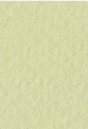 Бумага для пастели Tiziano А4 160г. Салатовый теплый