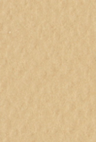 Бумага для пастели Tiziano А4 160г. Насыщенный песочный