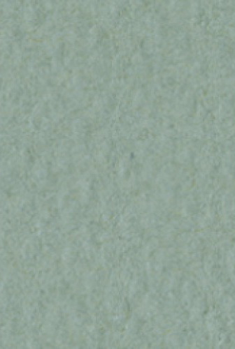 Бумага для пастели Tiziano 50х65см 160г. Серо-зеленый
