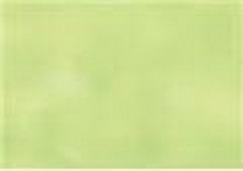 Карандаш пастельный Pastel Pencils, круглый корпус 8 мм, грифель - 4 мм, цвет - P470 зеленый свежий