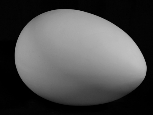 Яйцо большое
