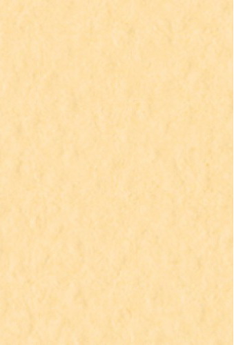 Бумага для пастели Tiziano А4 160г. Насыщенный кремовый