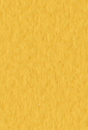 Бумага для пастели Tiziano А4 160г. Золото