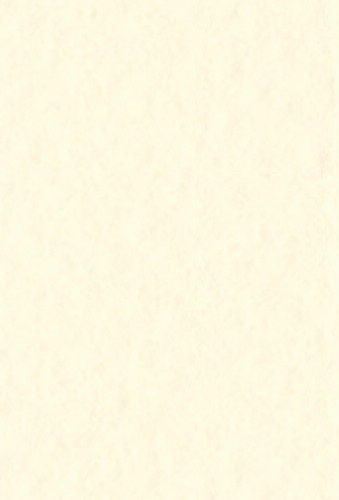 Бумага для пастели Tiziano А4 160г. Кремовая