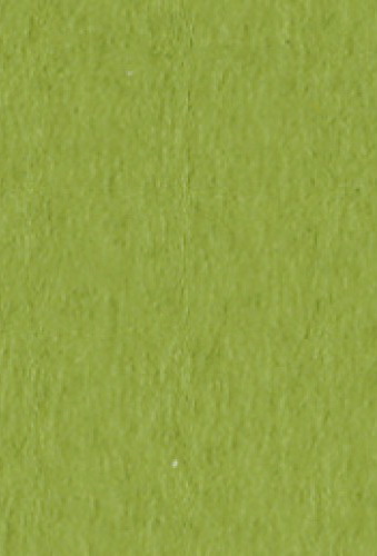 Бумага для пастели Tiziano А4 160г. Фисташковый