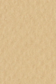 Бумага для пастели Tiziano А4 160г. Насыщенный песочный