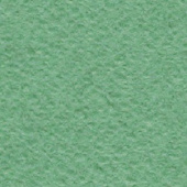 Бумага рисовальная 200гр. 600х840 зелёная
