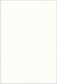 Бумага для пастели Tiziano 50х65см 160г. Белая